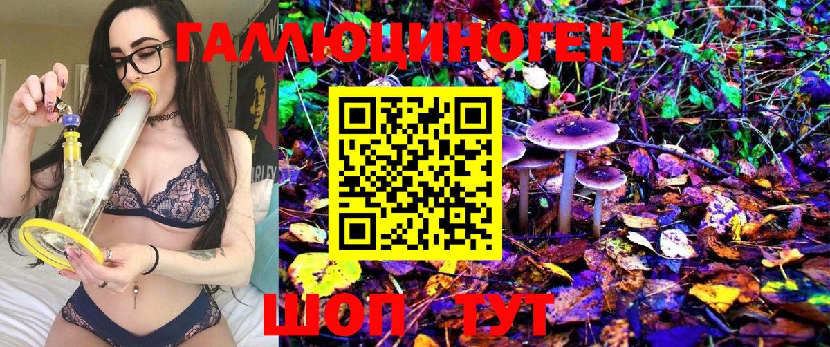 Псилоцибиновые грибы Cubensis Кольчугино