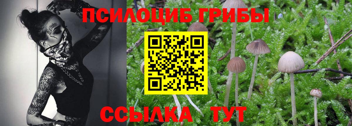 Галлюциногенные грибы Cubensis  Галлюциногенные грибы Magic Shrooms  Кольчугино  Вход с VPN 